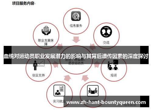 血统对运动员职业发展潜力的影响与其背后遗传因素的深度探讨