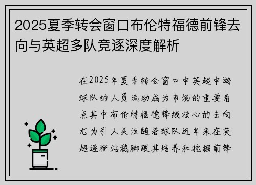 2025夏季转会窗口布伦特福德前锋去向与英超多队竞逐深度解析